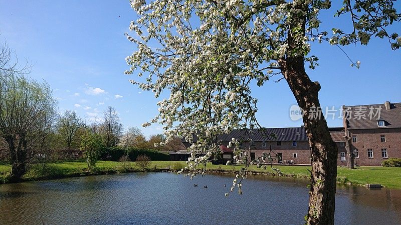 德国。4月。春天在Hambach, Julich附近的一个小村庄。